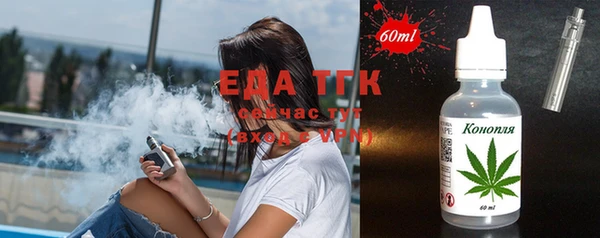 шишки Абаза