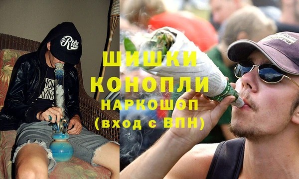 шишки Абаза
