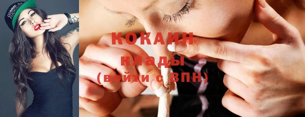 шишки Абаза