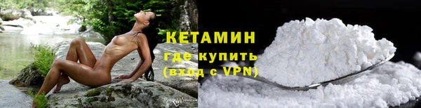 шишки Абаза