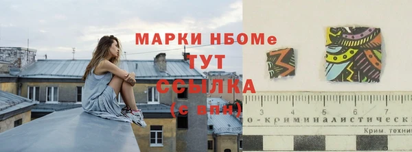 сатива Абинск