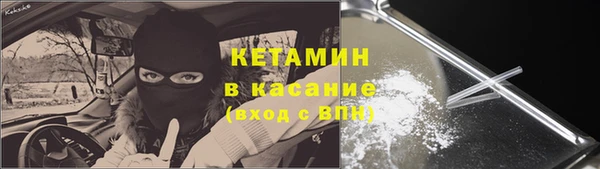 шишки Абаза