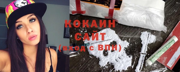 шишки Абаза
