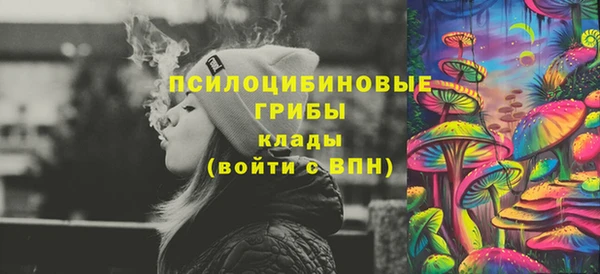 шишки Абаза