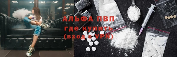 шишки Абаза