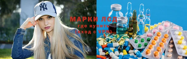 сатива Абинск
