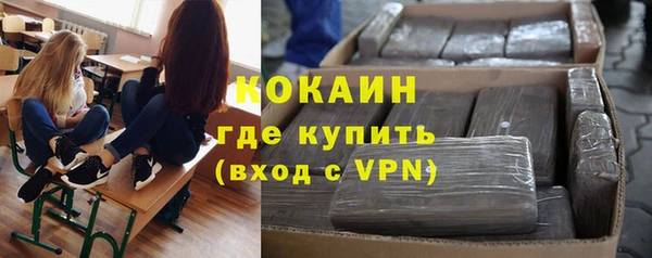 шишки Абаза